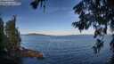 ./images/koeye/fitz-hugh/20260624/fitz-hugh20260624_073501M.jpg