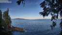 ./images/koeye/fitz-hugh/20260624/fitz-hugh20260624_074002M.jpg