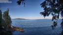 ./images/koeye/fitz-hugh/20260624/fitz-hugh20260624_075001M.jpg