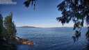 ./images/koeye/fitz-hugh/20260624/fitz-hugh20260624_075501M.jpg
