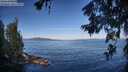 ./images/koeye/fitz-hugh/20260624/fitz-hugh20260624_080001M.jpg