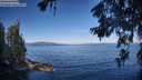 ./images/koeye/fitz-hugh/20260624/fitz-hugh20260624_081001M.jpg