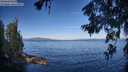 ./images/koeye/fitz-hugh/20260624/fitz-hugh20260624_081501M.jpg