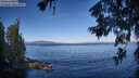 ./images/koeye/fitz-hugh/20260624/fitz-hugh20260624_082002M.jpg