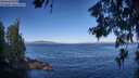 ./images/koeye/fitz-hugh/20260624/fitz-hugh20260624_082501M.jpg