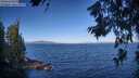 ./images/koeye/fitz-hugh/20260624/fitz-hugh20260624_083001M.jpg