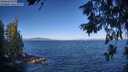 ./images/koeye/fitz-hugh/20260624/fitz-hugh20260624_083502M.jpg