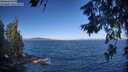 ./images/koeye/fitz-hugh/20260624/fitz-hugh20260624_084501M.jpg