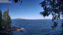 ./images/koeye/fitz-hugh/20260624/fitz-hugh20260624_085001M.jpg