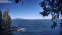./images/koeye/fitz-hugh/20260624/fitz-hugh20260624_085501M.jpg