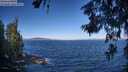 ./images/koeye/fitz-hugh/20260624/fitz-hugh20260624_090001M.jpg