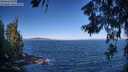 ./images/koeye/fitz-hugh/20260624/fitz-hugh20260624_090502M.jpg