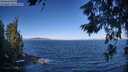 ./images/koeye/fitz-hugh/20260624/fitz-hugh20260624_091001M.jpg