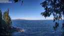 ./images/koeye/fitz-hugh/20260624/fitz-hugh20260624_091501M.jpg