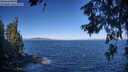 ./images/koeye/fitz-hugh/20260624/fitz-hugh20260624_092002M.jpg