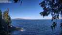 ./images/koeye/fitz-hugh/20260624/fitz-hugh20260624_092501M.jpg
