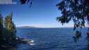 ./images/koeye/fitz-hugh/20260624/fitz-hugh20260624_093501M.jpg