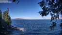 ./images/koeye/fitz-hugh/20260624/fitz-hugh20260624_094001M.jpg