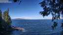 ./images/koeye/fitz-hugh/20260624/fitz-hugh20260624_094501M.jpg