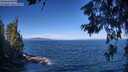 ./images/koeye/fitz-hugh/20260624/fitz-hugh20260624_095001M.jpg