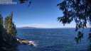 ./images/koeye/fitz-hugh/20260624/fitz-hugh20260624_095501M.jpg