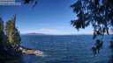 ./images/koeye/fitz-hugh/20260624/fitz-hugh20260624_100501M.jpg