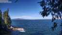 ./images/koeye/fitz-hugh/20260624/fitz-hugh20260624_101001M.jpg