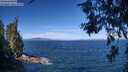 ./images/koeye/fitz-hugh/20260624/fitz-hugh20260624_101501M.jpg