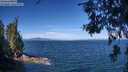 ./images/koeye/fitz-hugh/20260624/fitz-hugh20260624_102002M.jpg
