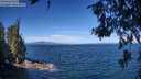 ./images/koeye/fitz-hugh/20260624/fitz-hugh20260624_102501M.jpg