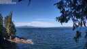./images/koeye/fitz-hugh/20260624/fitz-hugh20260624_103001M.jpg