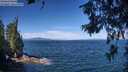 ./images/koeye/fitz-hugh/20260624/fitz-hugh20260624_103501M.jpg
