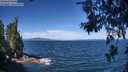 ./images/koeye/fitz-hugh/20260624/fitz-hugh20260624_104501M.jpg