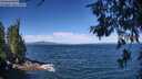 ./images/koeye/fitz-hugh/20260624/fitz-hugh20260624_105002M.jpg