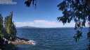 ./images/koeye/fitz-hugh/20260624/fitz-hugh20260624_105501M.jpg