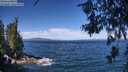 ./images/koeye/fitz-hugh/20260624/fitz-hugh20260624_110001M.jpg