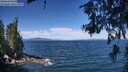 ./images/koeye/fitz-hugh/20260624/fitz-hugh20260624_110502M.jpg