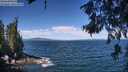 ./images/koeye/fitz-hugh/20260624/fitz-hugh20260624_111501M.jpg