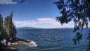 ./images/koeye/fitz-hugh/20260624/fitz-hugh20260624_112001M.jpg