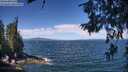 ./images/koeye/fitz-hugh/20260624/fitz-hugh20260624_112501M.jpg