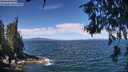 ./images/koeye/fitz-hugh/20260624/fitz-hugh20260624_113001M.jpg