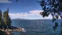 ./images/koeye/fitz-hugh/20260624/fitz-hugh20260624_114001M.jpg