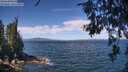 ./images/koeye/fitz-hugh/20260624/fitz-hugh20260624_114501M.jpg