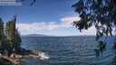 ./images/koeye/fitz-hugh/20260624/fitz-hugh20260624_115001M.jpg
