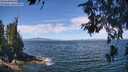 ./images/koeye/fitz-hugh/20260624/fitz-hugh20260624_115501M.jpg