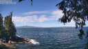 ./images/koeye/fitz-hugh/20260624/fitz-hugh20260624_120001M.jpg