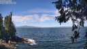 ./images/koeye/fitz-hugh/20260624/fitz-hugh20260624_120501M.jpg