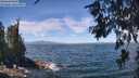 ./images/koeye/fitz-hugh/20260624/fitz-hugh20260624_122002M.jpg