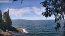 ./images/koeye/fitz-hugh/20260624/fitz-hugh20260624_122501M.jpg