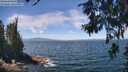 ./images/koeye/fitz-hugh/20260624/fitz-hugh20260624_123001M.jpg